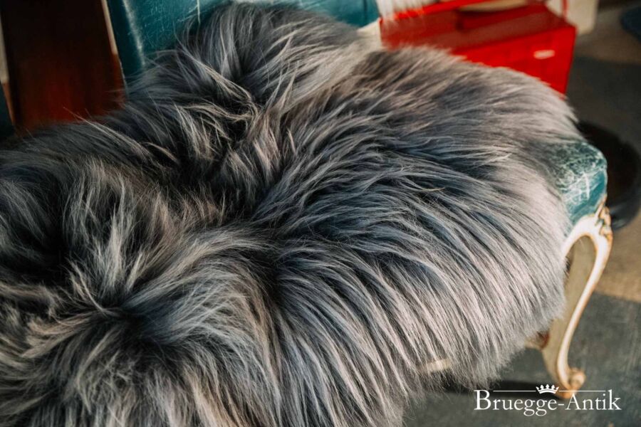 Bruegge Antik Fotos2023 12 124 - Brügge Antik