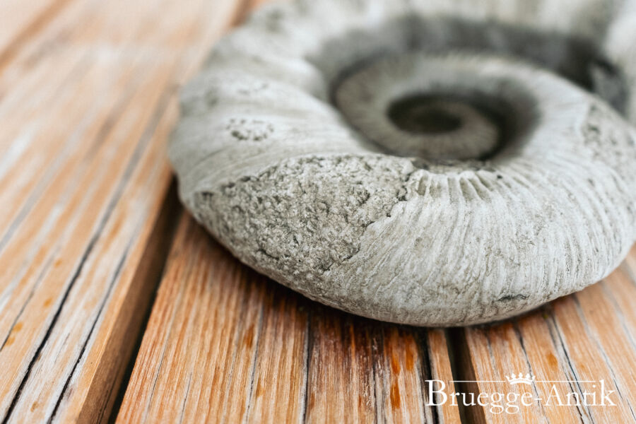 Antiquitaet zu verkaufen Bruegg Antik Juni 2024 34 - Brügge Antik