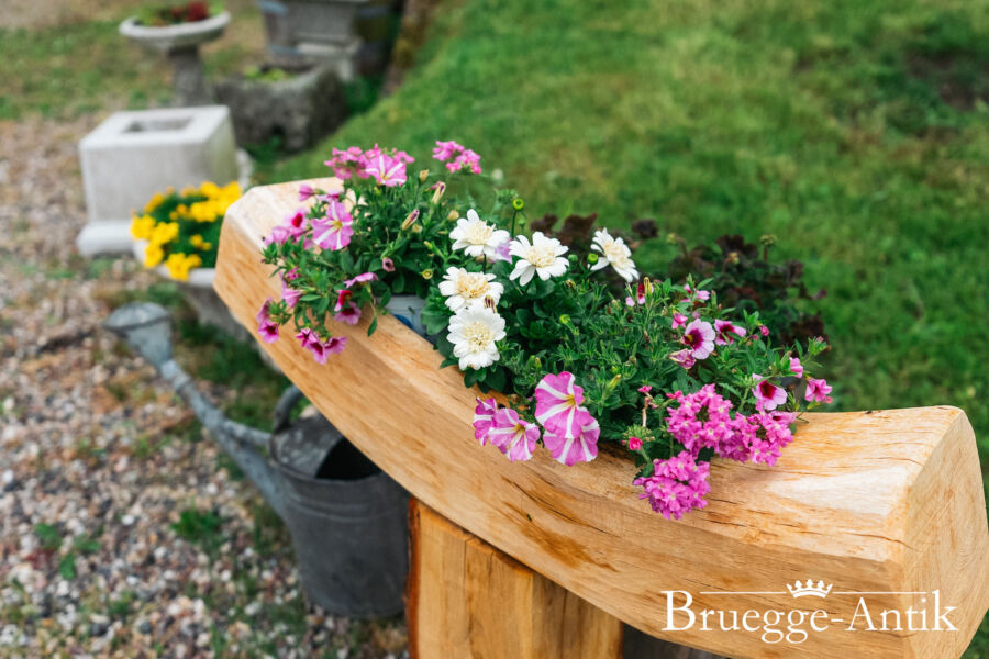 Antiquitaet zu verkaufen Bruegg Antik Juni 2024 63 - Brügge Antik