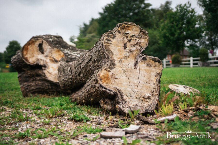 Kl bruegge antik antiquitaeten f 40 - Brügge Antik
