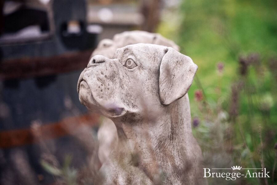 030 Aniquitaet Bruegge Antik Antik Foto 11 22 - Brügge Antik