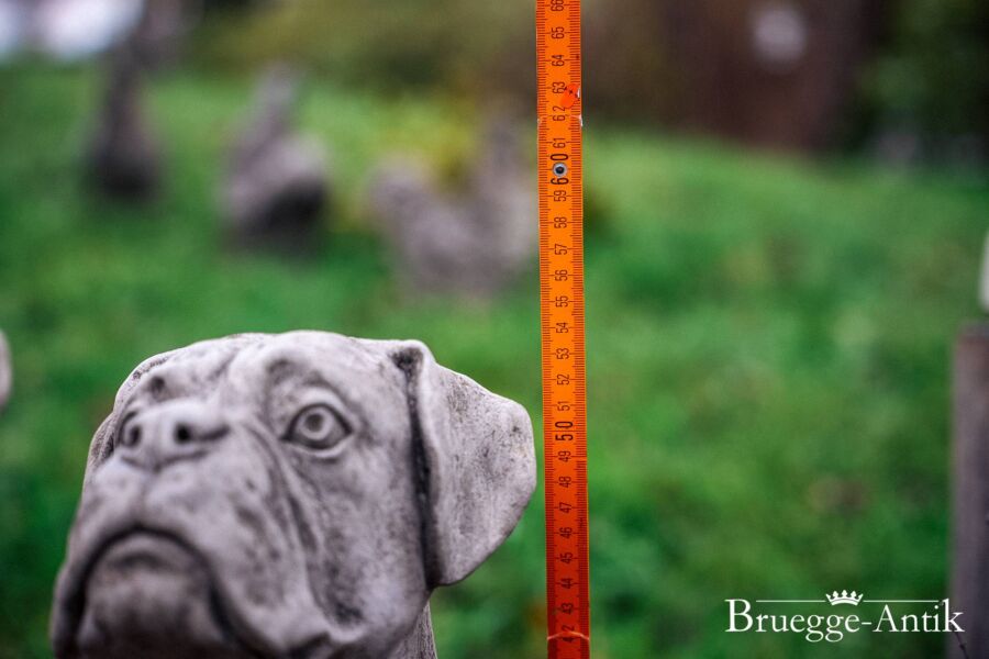 034 Aniquitaet Bruegge Antik Antik Foto 11 22 - Brügge Antik