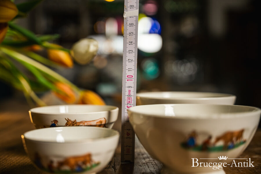 Fotos Bruegge Antik Antiquitaet 2023 Februar 84 - Brügge Antik