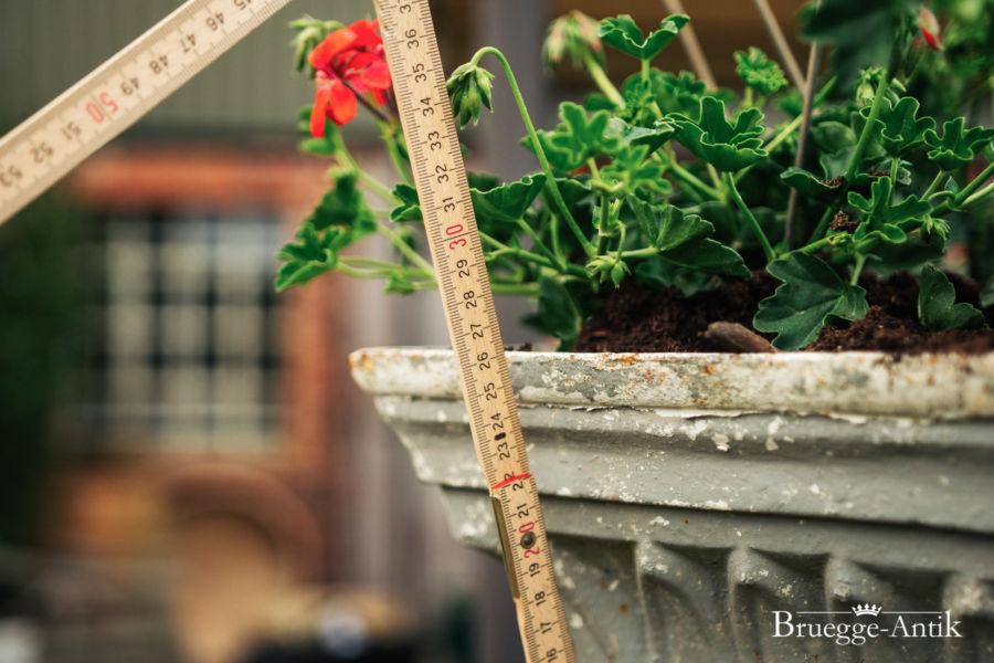 Tag3 Bruegge Antik513 - Brügge Antik