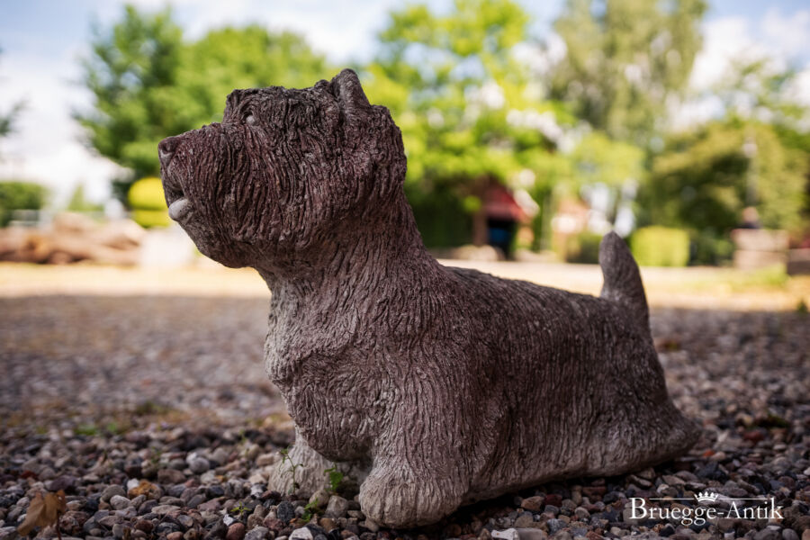 Antiquitaet Bruegge Antik 417 - Brügge Antik