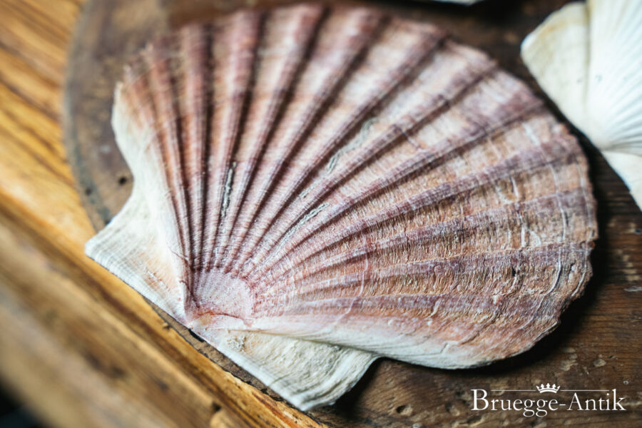 322 Bruegge Antik Antiquitaet Foto - Brügge Antik