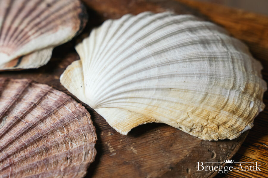 323 Bruegge Antik Antiquitaet Foto - Brügge Antik